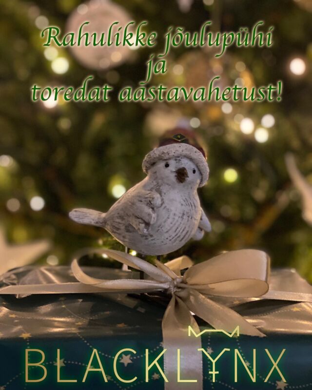 🎄🎅🏻🎁